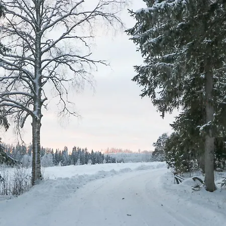 Kopsamonlinna