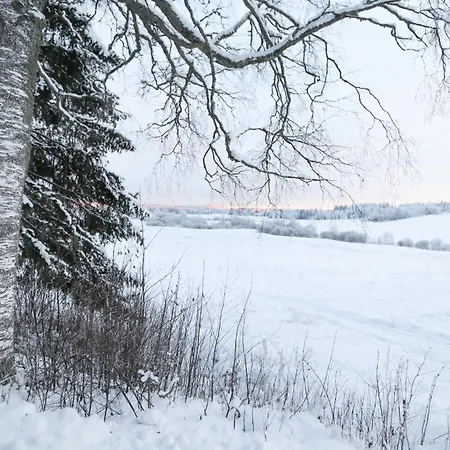 Apartment Kopsamonlinna Juupajoki