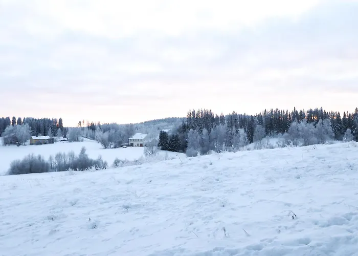 Kopsamonlinna Apartmán