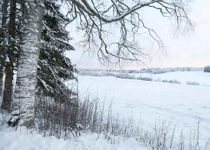 Apartmán Kopsamonlinna Juupajoki